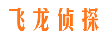 雷波调查公司